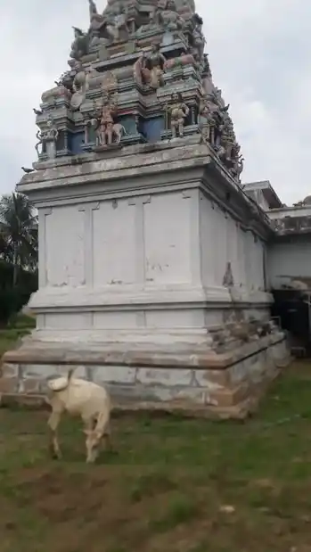 Arulmigu Sivan Temple, Vellikurichi - 630610 அருள்மிகு. சிவன் திருக்கோயில், Vellikurichi - 630610, Sivagangai - Ancient Temple Architecture and History Image 2