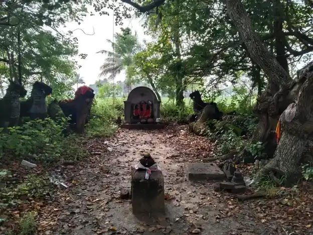 Arulmigu Sivanarappan Temple, Karichankudi - 614404 அருள்மிகு சிவனாரப்பன் திருக்கோயில், Karichankudi - 614404, Thiruvarur - Ancient Temple Architecture and History Image 5