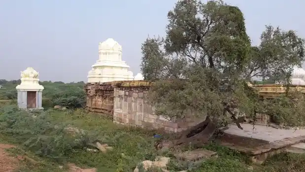 Arulmigu Sivantha Pathamudaiyar Temple, Muthunadu - 630302 அருள்மிகு சிவந்தபாதமுடையார் திருக்கோயில், Muthunadu - 630302, Sivagangai - Ancient Temple Architecture and History Image 4