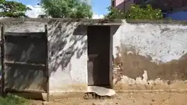 Arulmigu Sivaprakasha Gurukkal Madam, Sethur - 626121 சிவப்பிரகாச குருக்கள் மடம், சேத்துர் - 626121, Virudhunagar - Ancient Temple Architecture and History Image 2