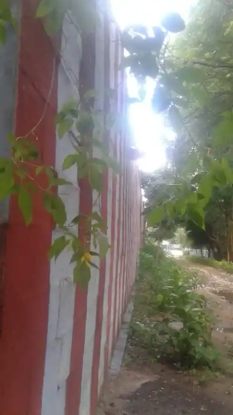 Arulmigu Sivasailanaathaswamy Tirukovil, Sivasilam - 627412 அருள்மிகு சிவசைலநாதசுவாமி திருக்கோயில், Sivasilam - 627412, Tenkasi - Ancient Temple Architecture and History Image 4