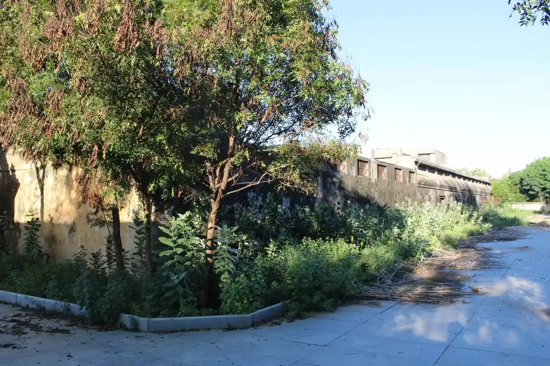 Arulmigu Sivasuriyaperumantemple, Sooriyanarkoil - 612102 அருள்மிகு சிவசூரியநாராயணப்பெருமாள் திருக்கோயில், சூரியனார்கோயில் - 612102, Thanjavur - Ancient Temple Architecture and History Image 2