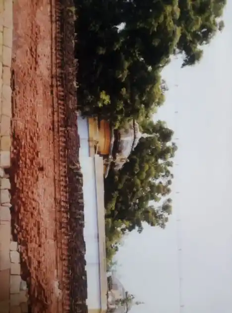 Arulmigu Sokkaligeswarar Temple, Senthamaraikan, Sirukambur - 621213 Arulmigu Sokkaligeswarar Temple, செட்டிமங்கலம்,சிருகம்பூர் - 621213, Thiruchirappalli - Ancient Temple Architecture and History Image 2