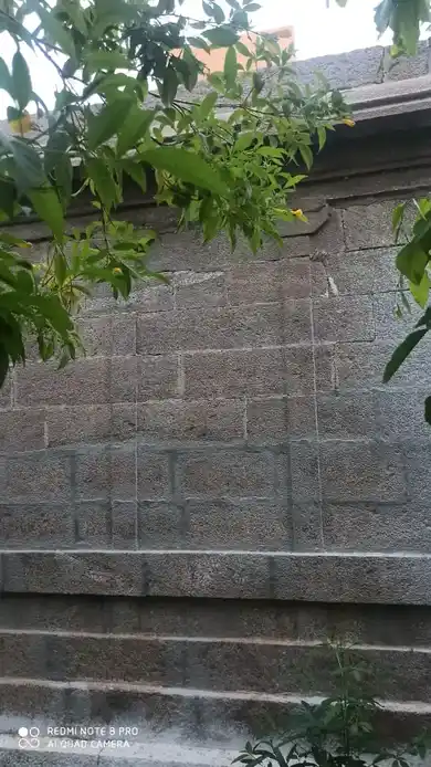 Arulmigu Sokkalingasamy Temple, Aarampannai - 628601 அருள்மிகு சொக்கலிங்கசுவாமி திருக்கோயில், Aarampannai - 628601, Thoothukudi - Ancient Temple Architecture and History Image 7