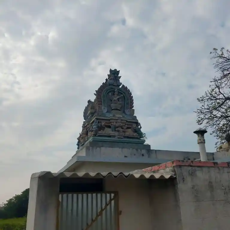 Arulmigu Sokkanachiamman Temple, Thoranavavi - 638052 அருள்மிகு சொக்கநாச்சியம்மன் திருக்கோயில், தோரணவாவி - 638052, Erode - Ancient Temple Architecture and History Image 2