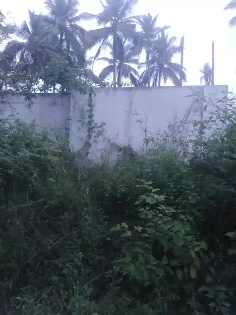 Arulmigu Sokkanahalli Perumal Temple, Jittandahalli - 636805 அருள்மிகு சொக்கன அள்ளி பெருமாள் திருக்கோயில், Jittandahalli - 636805, Dharmapuri - Ancient Temple Architecture and History Image 2