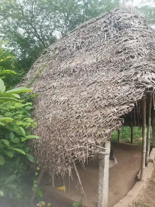 Arulmigu Sokkanahar And Visvanathar Temple, Punavasal - 610102 அருள்மிகு சொக்கநாதர் மற்றும் விஷ்வநாதர் திருக்கோயில், Punavasal - 610102, Thiruvarur - Ancient Temple Architecture and History Image 2