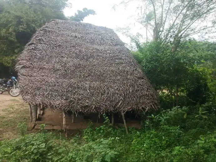 Arulmigu Sokkanahar And Visvanathar Temple, Punavasal - 610102 அருள்மிகு சொக்கநாதர் மற்றும் விஷ்வநாதர் திருக்கோயில், Punavasal - 610102, Thiruvarur - Ancient Temple Architecture and History Image 4