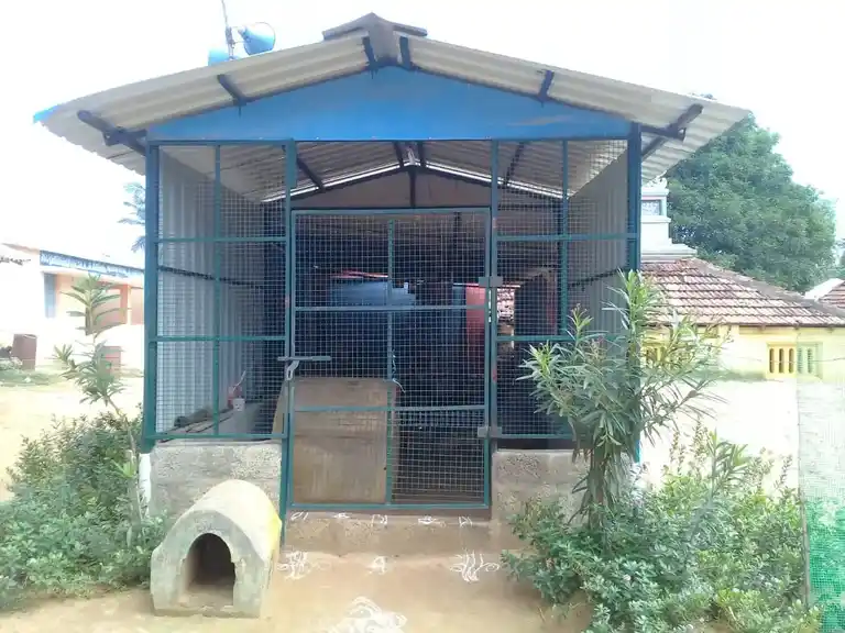Arulmigu Sokkanathar Temple, Sathambadi - 621704 Temple