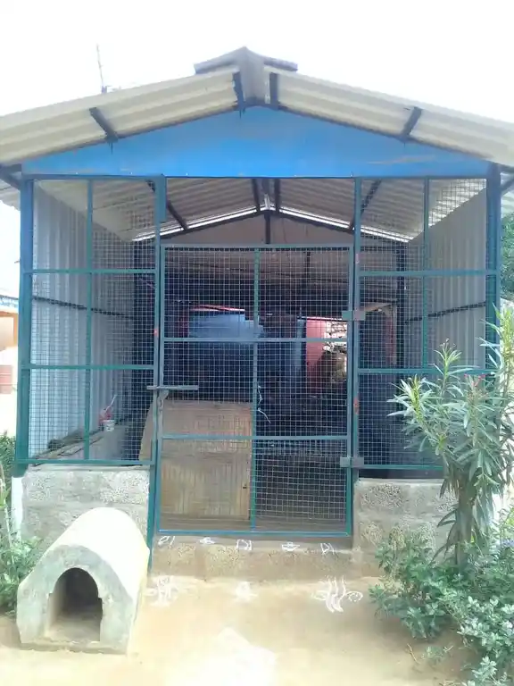 Arulmigu Sokkanathar Temple, Sathambadi - 621704 Arulmigu Sokkanathar Temple, சாத்தம்பாடி - 621704, Ariyalur - Ancient Temple Architecture and History Image 2