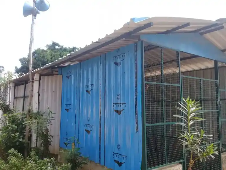 Arulmigu Sokkanathar Temple, Sathambadi - 621704 Arulmigu Sokkanathar Temple, சாத்தம்பாடி - 621704, Ariyalur - Ancient Temple Architecture and History Image 4