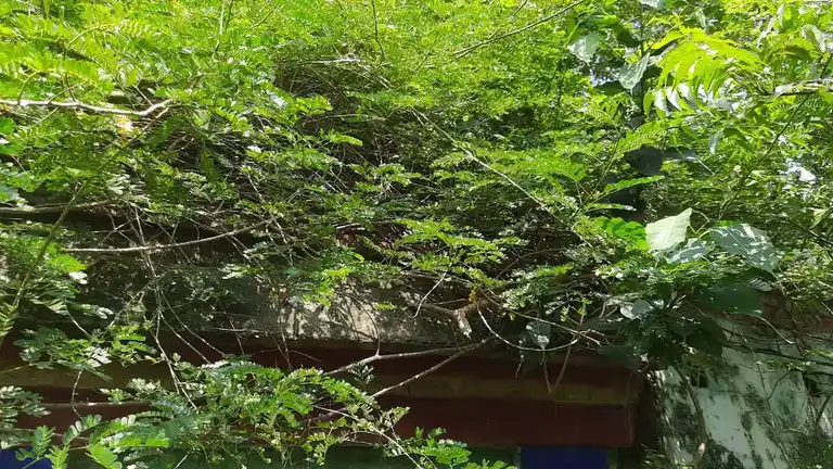 Arulmigu Sokkayee Temple, Keelasengamedu - 612903 அருள்மிகு சொக்காயி திருக்கோயில், கீழசெங்கமேடு - 612903, Ariyalur - Ancient Temple Architecture and History Image 3