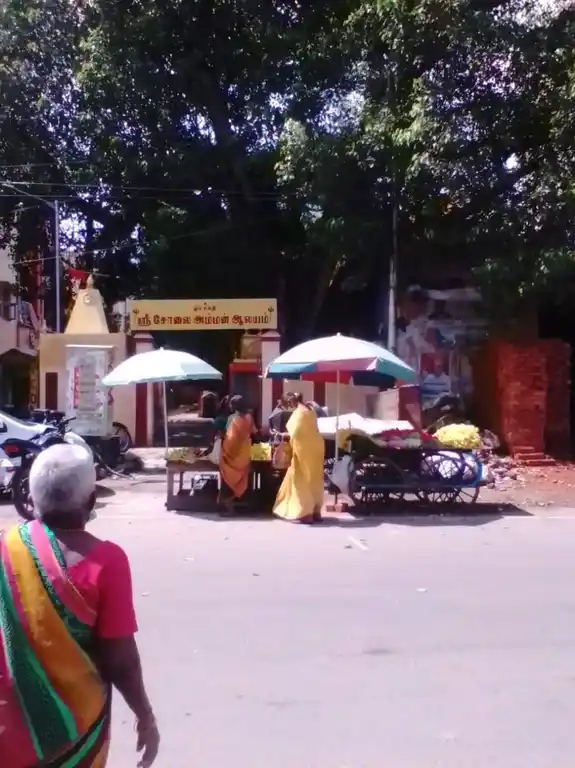 Arulmigu Solai Amman Temple, Purasawakkam, Chennai - 600007 அருள்மிகு சோலையம்மன் திருக்கோயில், புரசைவாக்கம், சென்னை - 600007, Chennai - Ancient Temple Architecture and History Image 2