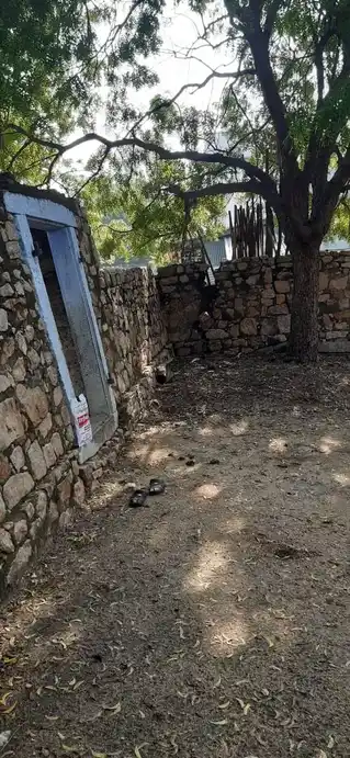 Arulmigu Solaisamy Temple, Pudiyamputtur - 628402 அருள்மிகு சோலைச்சாமி திருக்கோயில், Pudiyamputtur - 628402, Thoothukudi - Ancient Temple Architecture and History Image 2