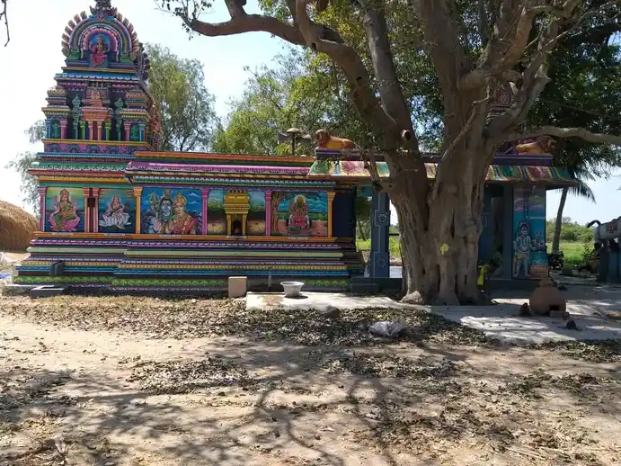Arulmigu Solaivazhiyamman Temple, Pasuvankaranai - 603306 Arulmigu Solaivazhiyamman Temple, Pasuvankaranai - 603306, Chengalpattu - Ancient Temple Architecture and History Image 3
