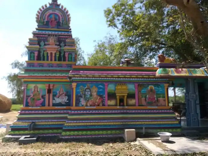 Arulmigu Solaivazhiyamman Temple, Pasuvankaranai - 603306 Arulmigu Solaivazhiyamman Temple, Pasuvankaranai - 603306, Chengalpattu - Ancient Temple Architecture and History Image 5