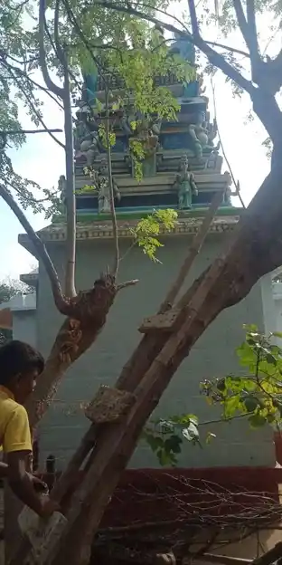 Arulmigu Solakarai Swamy Temple, Malliyambathu - 620006 Arulmigu Solakarai Swamy Temple, Malliyambathu - 620006, Thiruchirappalli - Ancient Temple Architecture and History Image 4