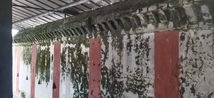 Arulmigu Solapuriswarar Temple, Sholinghur - 631102 அருள்மிகு சோழபுரிஸ்வரர் திருக்கோயில், சோளிங்கர் - 631102, Ranipet - Ancient Temple Architecture and History Image 5