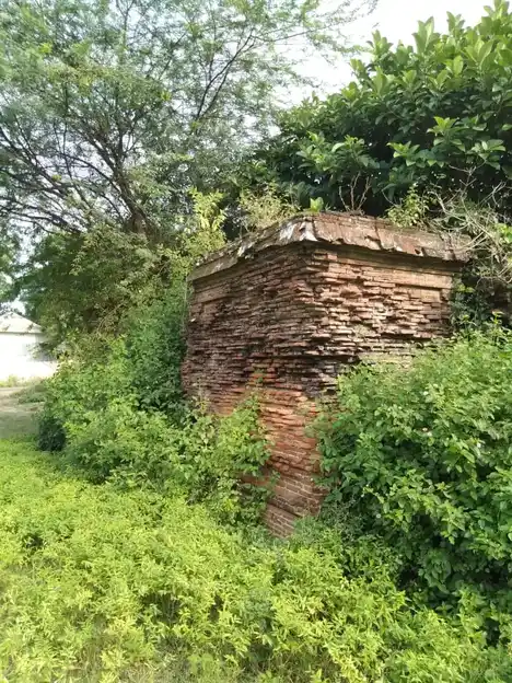 Arulmigu Soleesvarar Temple, Kavanur - 609807 அருள்மிகு சோளீஸ்வரர் திருக்கோயில், Kavanur - 609807, Thanjavur - Ancient Temple Architecture and History Image 2