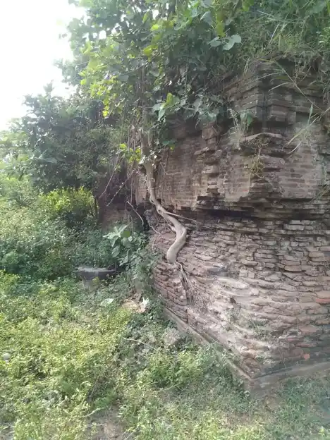 Arulmigu Soleesvarar Temple, Kavanur - 609807 அருள்மிகு சோளீஸ்வரர் திருக்கோயில், Kavanur - 609807, Thanjavur - Ancient Temple Architecture and History Image 3