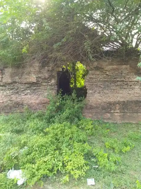 Arulmigu Soleesvarar Temple, Kavanur - 609807 அருள்மிகு சோளீஸ்வரர் திருக்கோயில், Kavanur - 609807, Thanjavur - Ancient Temple Architecture and History Image 5