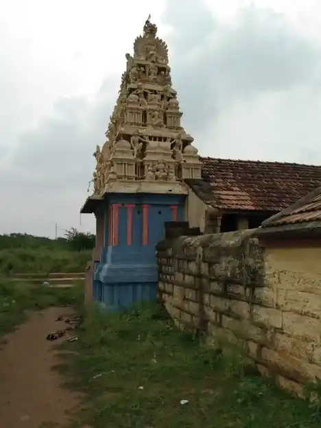 Arulmigu Soleeswarar And Vajreswarar Temple, Vallam - 613403 அருள்மிகு சோளீஸ்வரர் வஜ்ரேஸ்வரர் திருக்கோயில், Vallam - 613403, Thanjavur - Ancient Temple Architecture and History Image 2