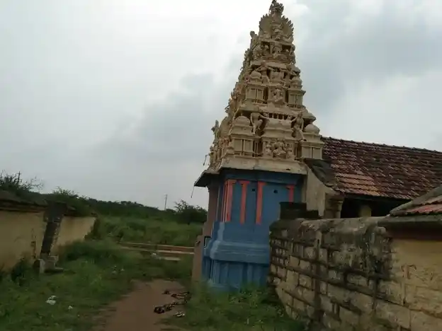 Arulmigu Soleeswarar And Vajreswarar Temple, Vallam - 613403 அருள்மிகு சோளீஸ்வரர் வஜ்ரேஸ்வரர் திருக்கோயில், Vallam - 613403, Thanjavur - Ancient Temple Architecture and History Image 3