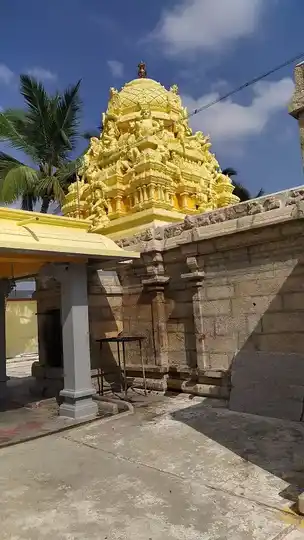 Arulmigu Soleeswarar Temple, Moolanur, Dharapuram - 638106 அருள்மிகு சோழீஸ்வரர் திருக்கோயில், மூலனூர், மூலனூர் - 638106, Tiruppur - Ancient Temple Architecture and History Image 2