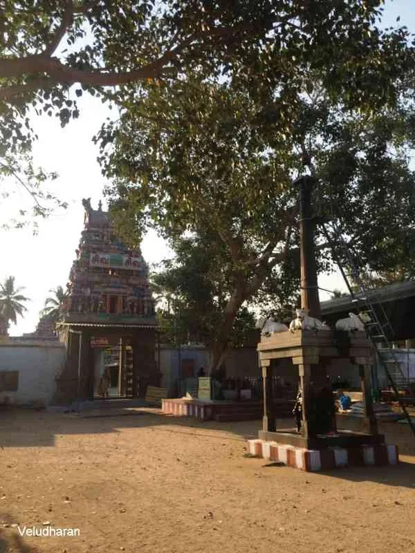 அருள்மிகு சோழிஸ்வரர் திருக்கோயில், பெருந்துறை, Perundurai - 638052