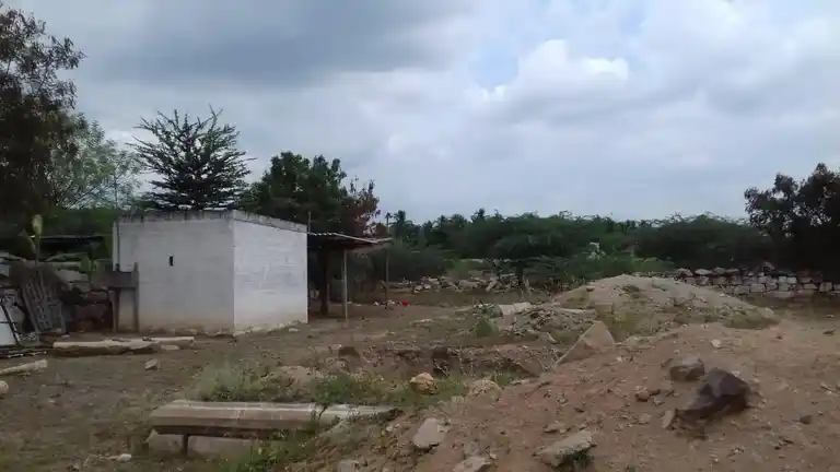 Arulmigu Soleeswarar Temple, Tholur - 637017