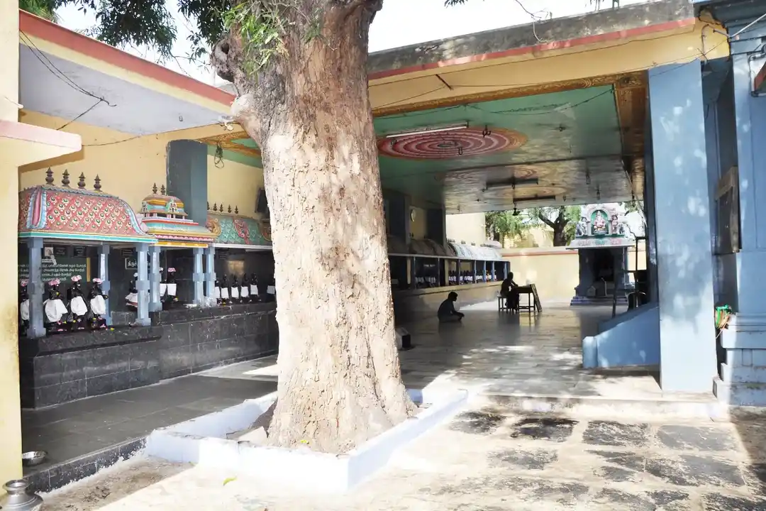 Arulmigu Solleshwarar Temple, Vairapalayam - 638001 Temple