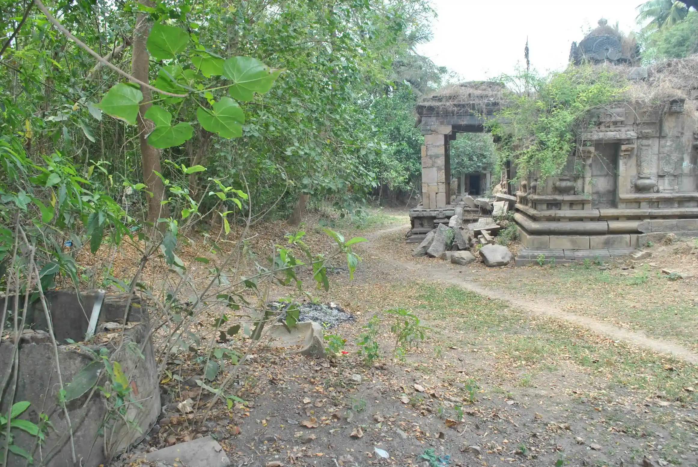 Arulmigu Somanatha Swamy, Rajagopala Swamy Temple, Poundiragapuram - 612202 அருள்மிகு சோமநாதர் மற்றும் இராஜகோபால சுவாமி திருக்கோயில், Poundiragapuram - 612202, Thanjavur - Ancient Temple Architecture and History Image 3