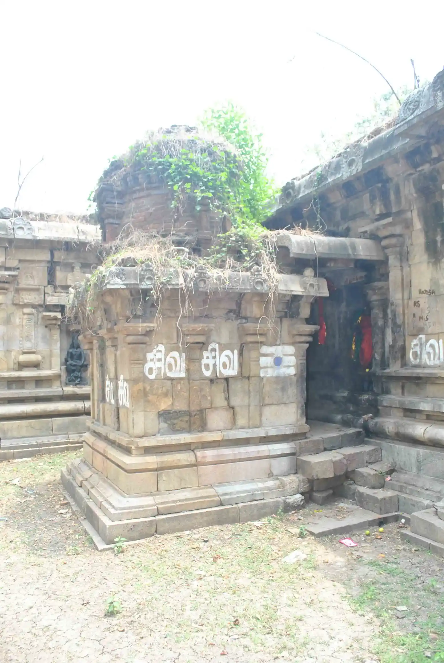 Arulmigu Somanatha Swamy, Rajagopala Swamy Temple, Poundiragapuram - 612202 அருள்மிகு சோமநாதர் மற்றும் இராஜகோபால சுவாமி திருக்கோயில், Poundiragapuram - 612202, Thanjavur - Ancient Temple Architecture and History Image 4