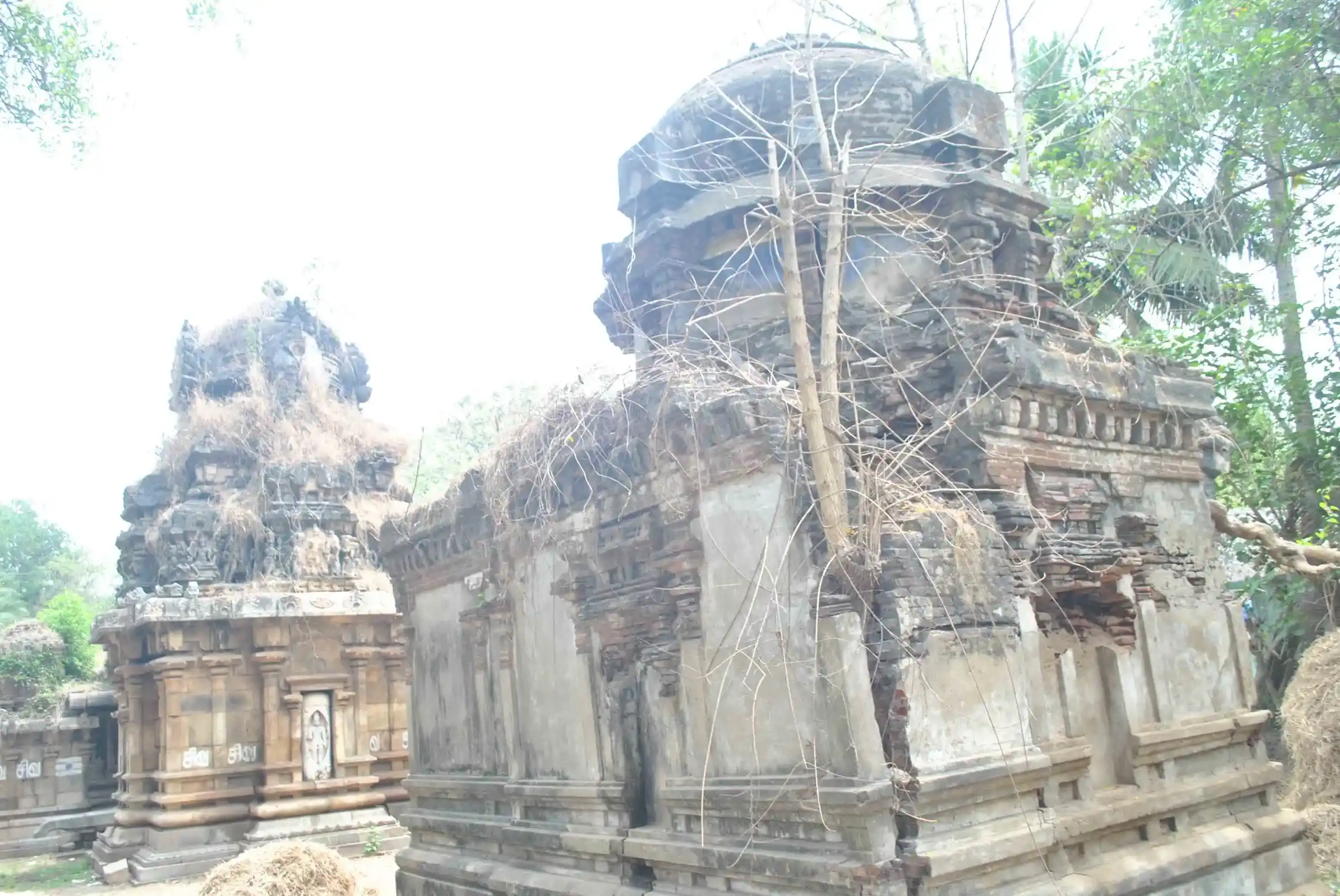 Arulmigu Somanatha Swamy, Rajagopala Swamy Temple, Poundiragapuram - 612202 அருள்மிகு சோமநாதர் மற்றும் இராஜகோபால சுவாமி திருக்கோயில், Poundiragapuram - 612202, Thanjavur - Ancient Temple Architecture and History Image 6
