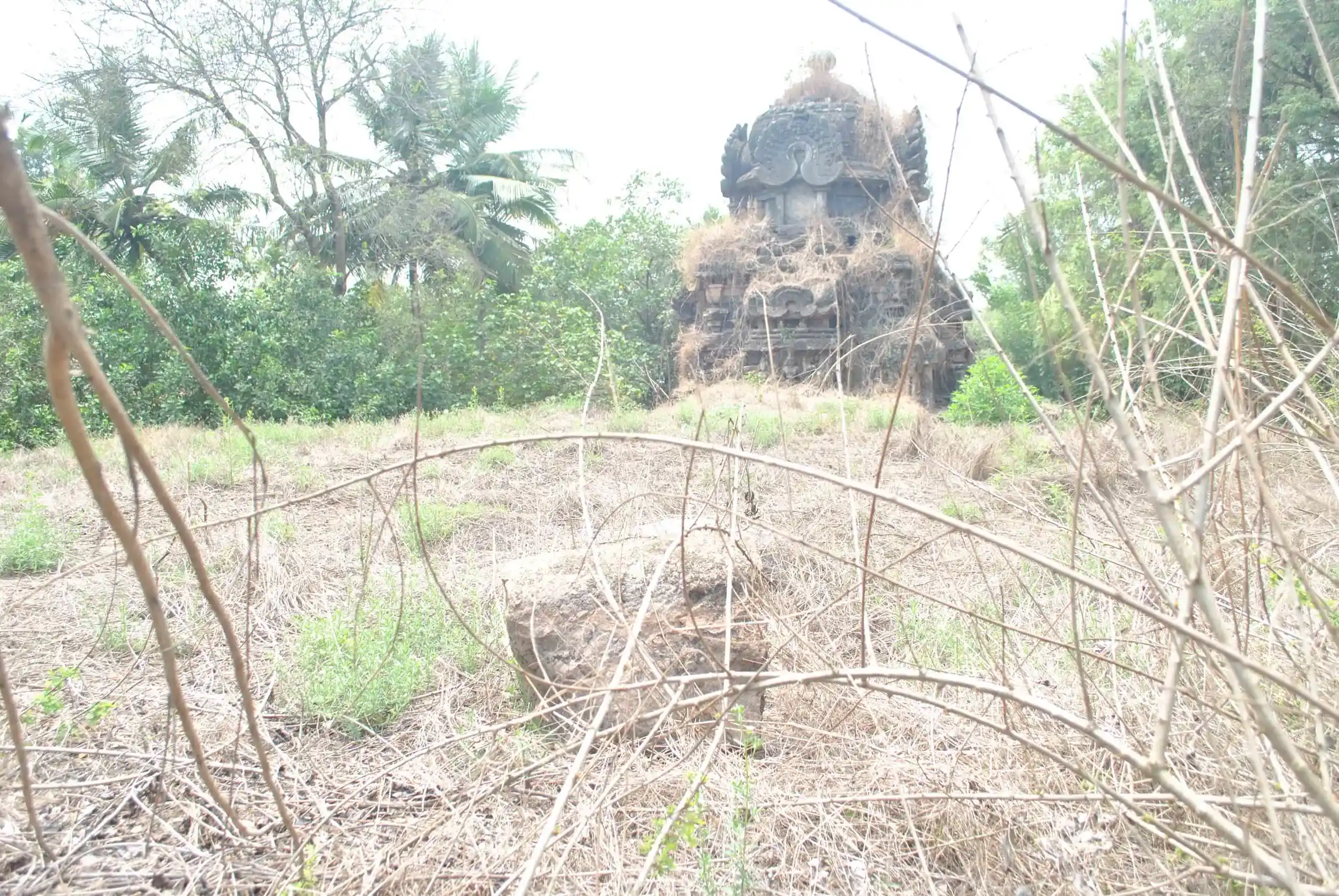 Arulmigu Somanatha Swamy, Rajagopala Swamy Temple, Poundiragapuram - 612202 அருள்மிகு சோமநாதர் மற்றும் இராஜகோபால சுவாமி திருக்கோயில், Poundiragapuram - 612202, Thanjavur - Ancient Temple Architecture and History Image 8