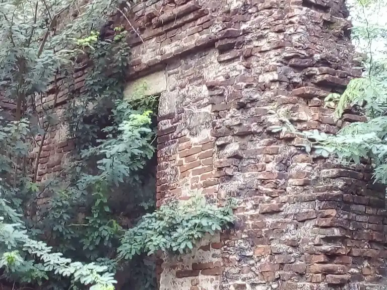 Arulmigu Somanatha Swamy Temple, Puthagaram - 614705 அருள்மிகு சோமநாதசுவாமி திருக்கோயில், Puthagaram - 614705, Thiruvarur - Ancient Temple Architecture and History Image 4