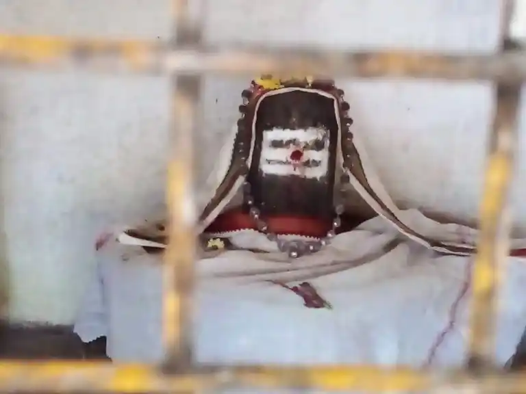 Arulmigu Somanatha Swamy Temple, Puthagaram - 614705 அருள்மிகு சோமநாதசுவாமி திருக்கோயில், Puthagaram - 614705, Thiruvarur - Ancient Temple Architecture and History Image 5