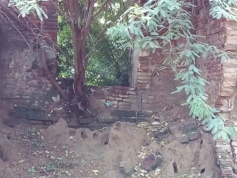 Arulmigu Somanatha Swamy Temple, Puthagaram - 614705 அருள்மிகு சோமநாதசுவாமி திருக்கோயில், Puthagaram - 614705, Thiruvarur - Ancient Temple Architecture and History Image 6