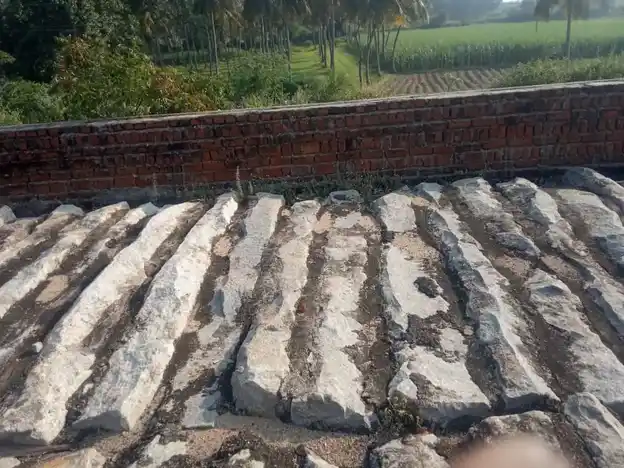 Arulmigu Somanatheeswarar Temple, Thirumalaicheri - 632513 அருள்மிகு சோமநாதீஸ்வரர் திருக்கோயில், திருமலைச்சேரி - 632513, Ranipet - Ancient Temple Architecture and History Image 4