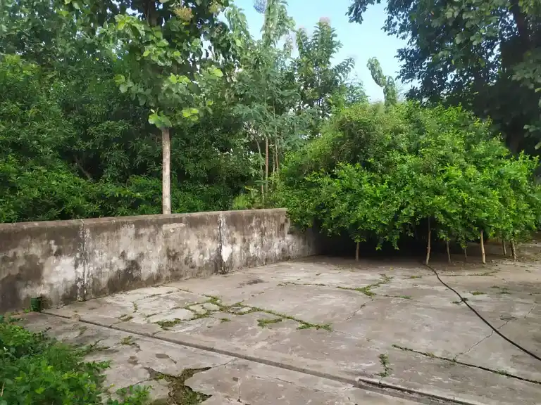 Arulmigu Somasundaraeswarer Temple, Kizhapalaiyur - 606103