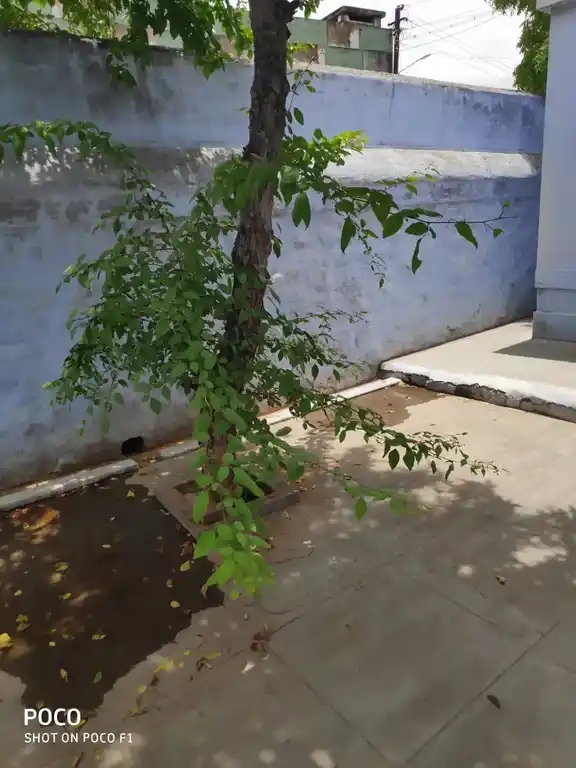 Arulmigu Somasundaravinayagar Temple, Mullikulam - 627755 அருள்மிகு சோமசுந்தர விநாயகர் திருக்கோயில், Mullikulam - 627755, Tenkasi - Ancient Temple Architecture and History Image 5