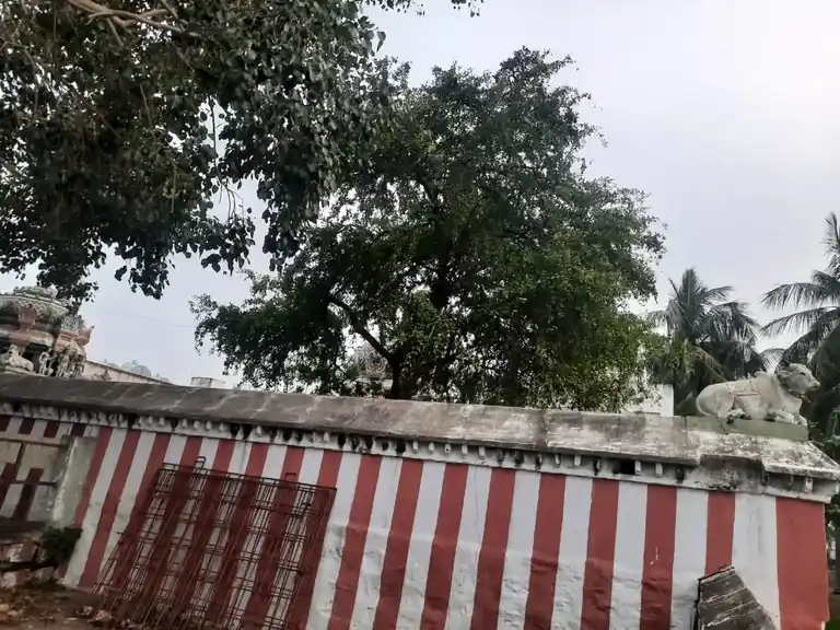 Arulmigu Somasundareswarar Temple, Sengatupatti - 621011 Arulmigu Somasundareswarar Temple, Sengatupatti - 621011, Thiruchirappalli - Ancient Temple Architecture and History Image 8