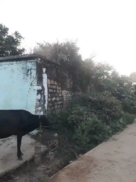 Arulmigu Someshwar Temple, Santhanapalli - 635107 அருள்மிகு சோமேஸ்வரர் திருக்கோயில், Santhanapalli - 635107, Krishnagiri - Ancient Temple Architecture and History Image 4