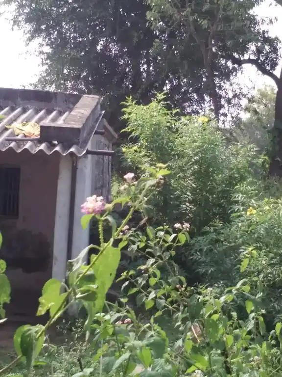 Arulmigu Someswarar Temple, Dalavoyhalli - 636803 அருள்மிகு சோமேஸ்வரர் திருக்கோயில், Dalavoyhalli - 636803, Dharmapuri - Ancient Temple Architecture and History Image 3