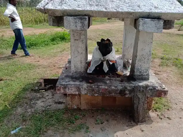 Arulmigu Someswarar Temple, Nariyanahalli - 635111