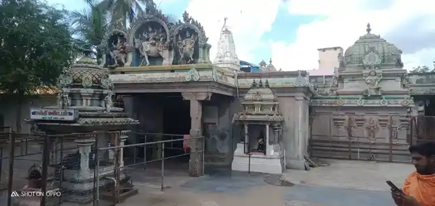 Arulmigu Someswarar Temple, Panruti - 607106 அருள்மிகு சோமேஸ்வரர் திருக்கோயில், Panruti - 607106, Cuddalore - Ancient Temple Architecture and History Image 2