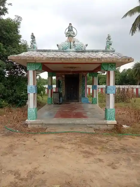Arulmigu Somiyanarayana Perumal Temple, Pinnavasal - 610202 அருள்மிகு சௌமியநாராயணபெருமாள் திருக்கோயில், பின்னவாசல் - 610202, Thiruvarur - Ancient Temple Architecture and History Image 3