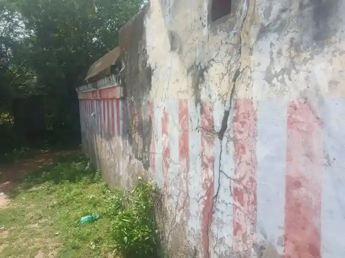 Arulmigu Sooleeswarar Temple, Mannargudi - 614001 அருள்மிகு சோளீஸ்வரர் திருக்கோயில், Mannargudi - 614001, Thiruvarur - Ancient Temple Architecture and History Image 2