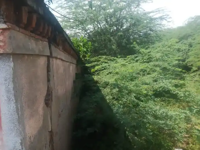 Arulmigu Sooleeswarar Temple, Mannargudi - 614001 அருள்மிகு சோளீஸ்வரர் திருக்கோயில், Mannargudi - 614001, Thiruvarur - Ancient Temple Architecture and History Image 3