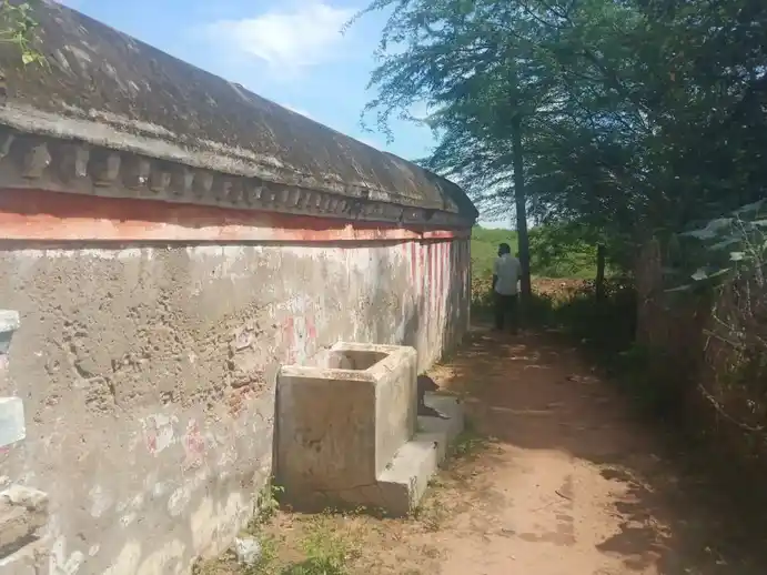 Arulmigu Sooleeswarar Temple, Mannargudi - 614001 அருள்மிகு சோளீஸ்வரர் திருக்கோயில், Mannargudi - 614001, Thiruvarur - Ancient Temple Architecture and History Image 4